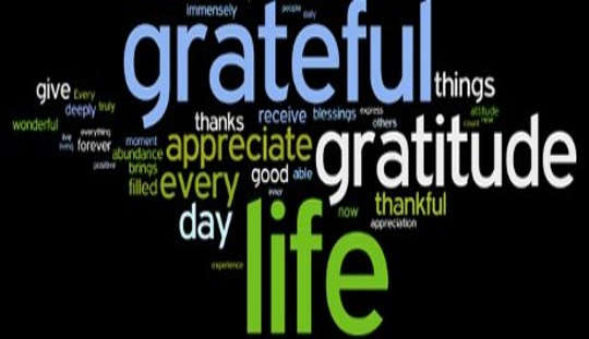 "Thank You For Everything. I Have No Complaint Whatsoever." "Thank You For Everything. I Have No Complaint Whatsoever."
